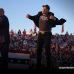 Elon Musk wealth increase after Trump election win