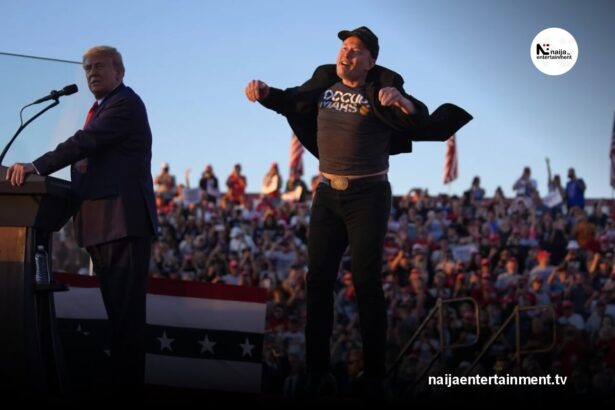 Elon Musk wealth increase after Trump election win