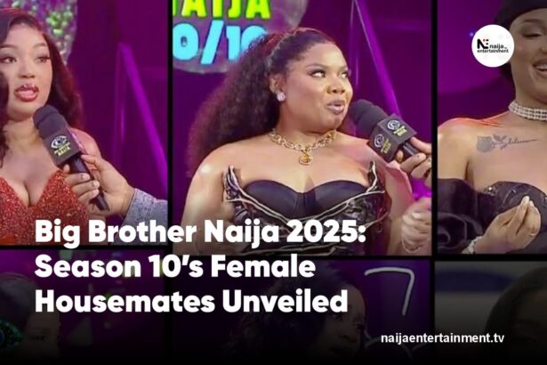 BBNaija 2025 female housemates