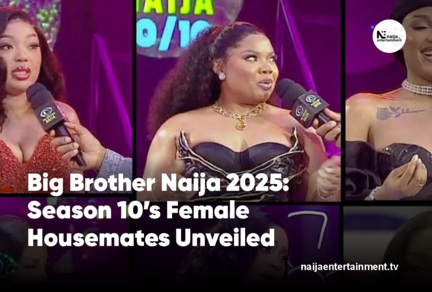 BBNaija 2025 female housemates