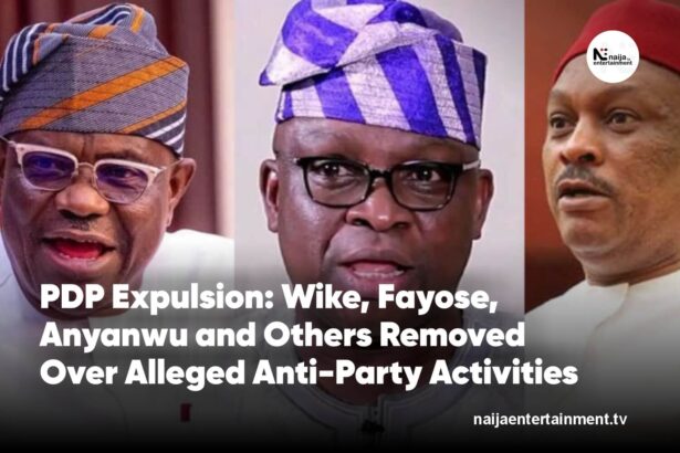 PDP Expels Wike, Fayose, Anyanwu